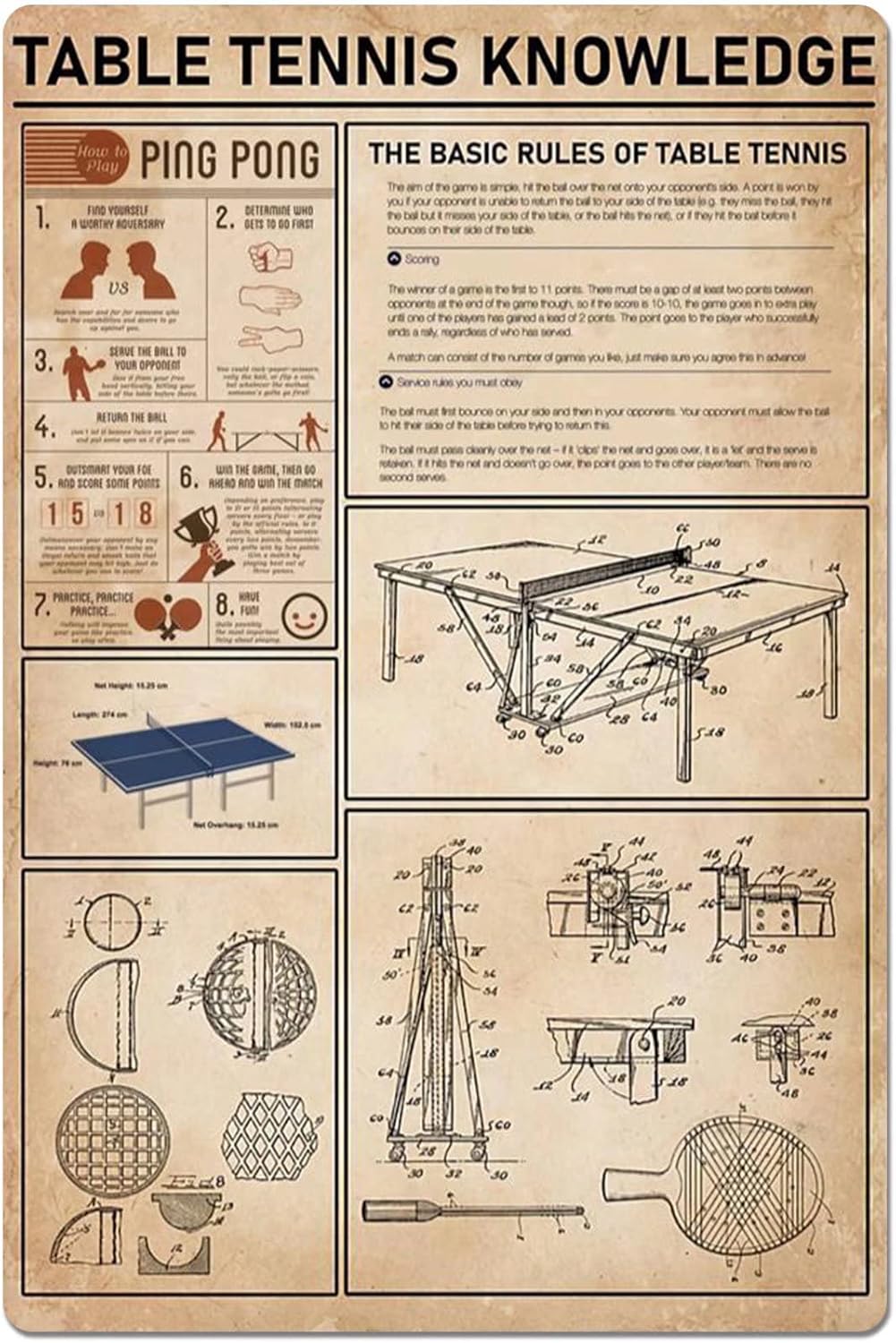 Table Tennis Knowledge Poster - Metalowy Znak Tenis Stołowy Wiedza o
